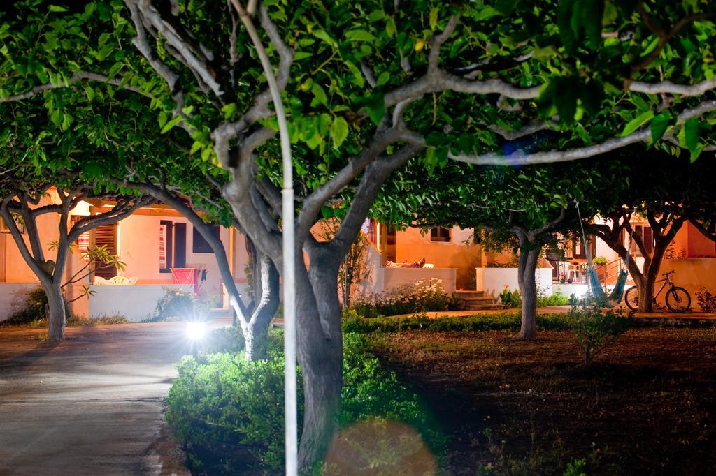 Dolphin Apartments 弗朗哥卡斯特隆 外观 照片